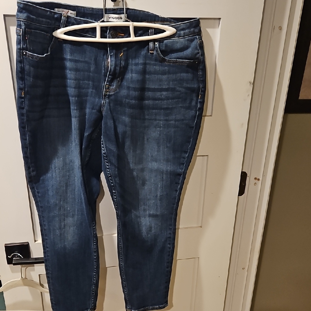 Vigoss Women's Dark Blue Ankle Jeans